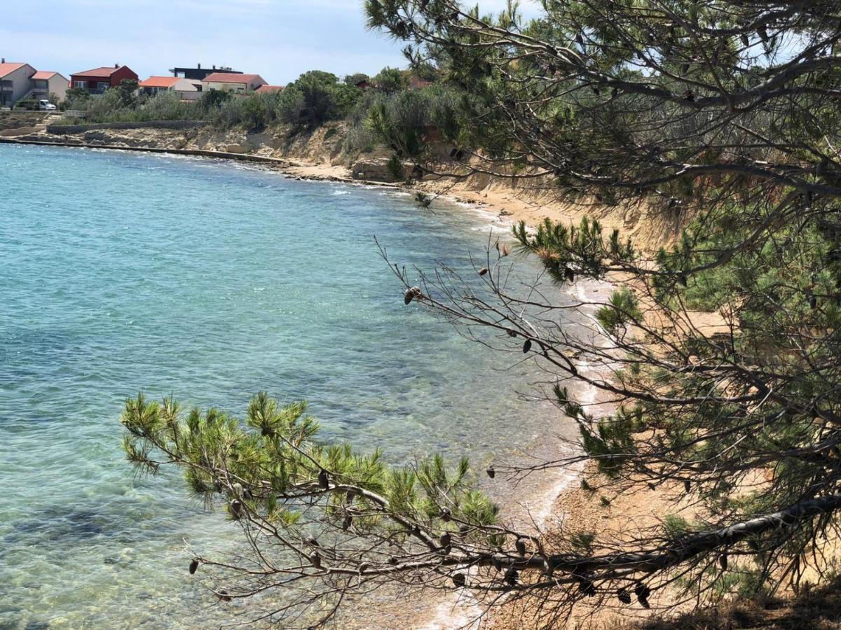Apartements Delfin Vir Dış mekan fotoğraf