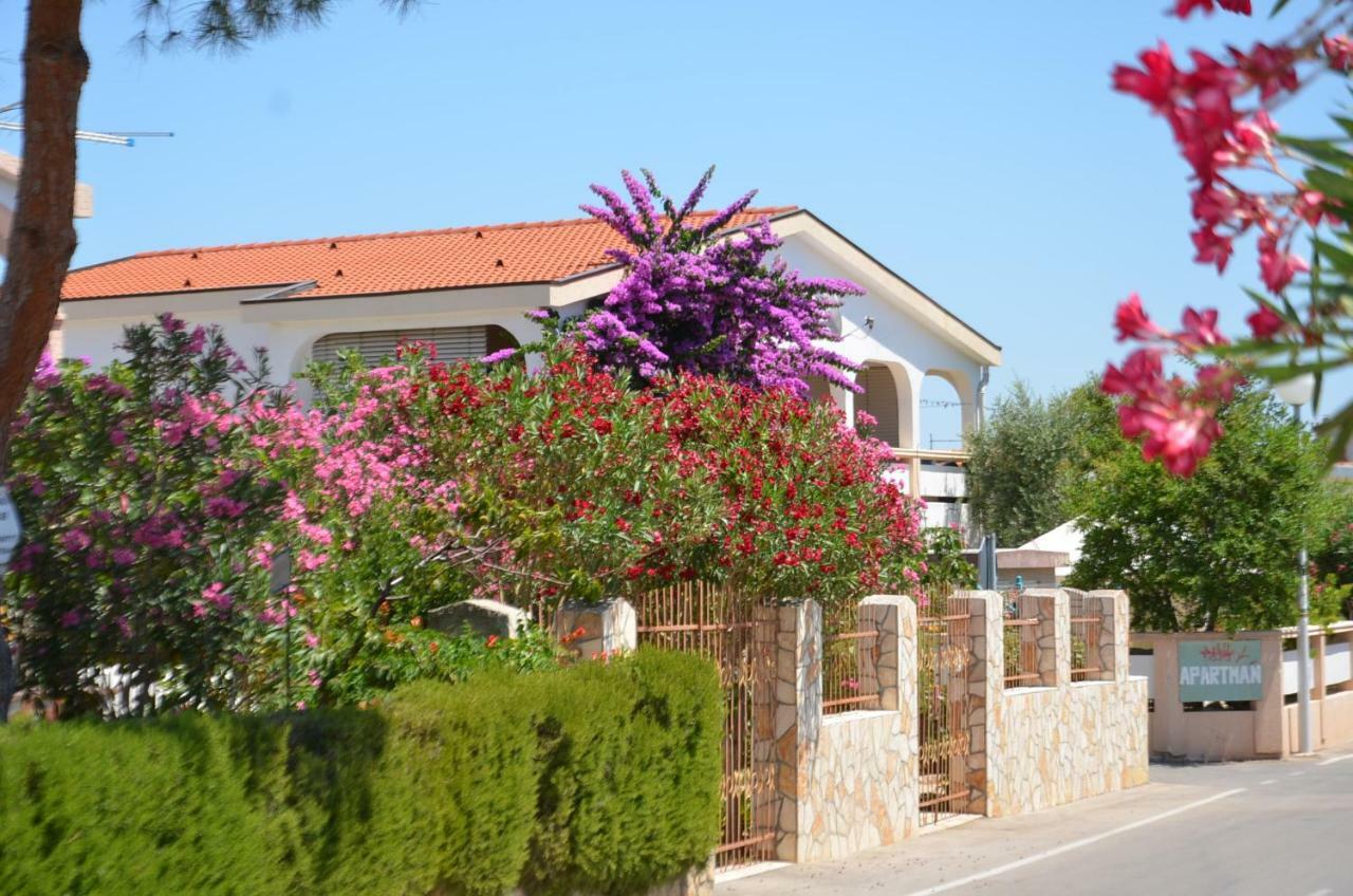 Apartements Delfin Vir Dış mekan fotoğraf